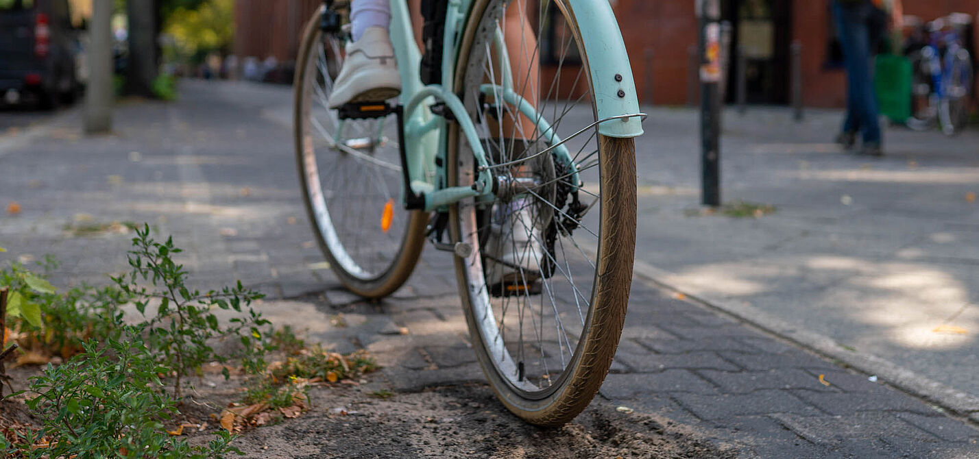 NRVP-Zwischenbilanz Ein Fahrrad fährt über einen holprigen Radweg.